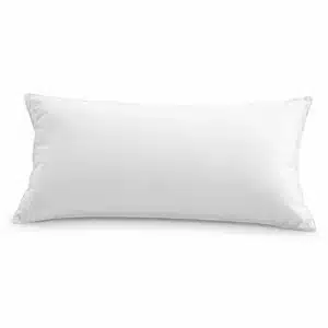 Traumina Plume Organic Down Pillow – Down, Classic Pillow