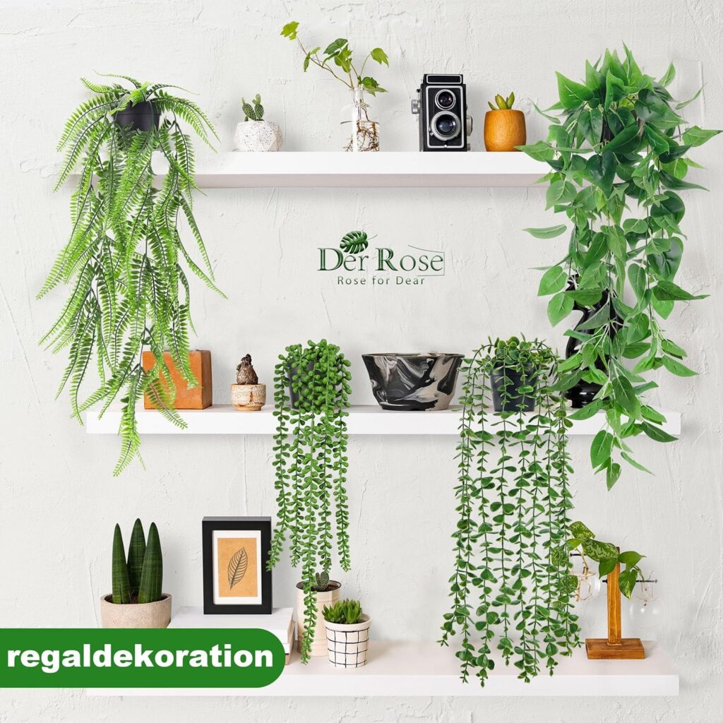 Matratzen kaufen Schweiz, Bettdecken kaufen Schweiz, Kopfkissen kaufen Schweiz Hanging plants on a shelf in the living room