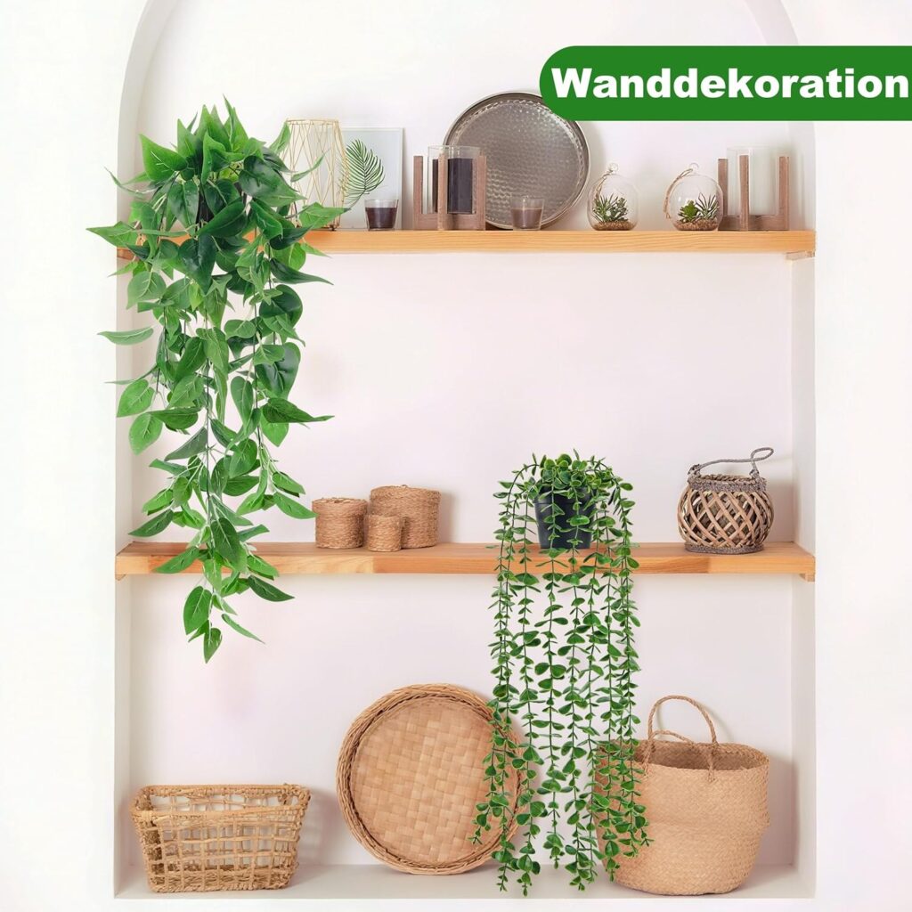 Matratzen kaufen Schweiz, Bettdecken kaufen Schweiz, Kopfkissen kaufen Schweiz Hanging Plants as Wall Decor in the Bedroom