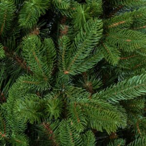 FairyTrees Weihnachtsbaum Nordmanntanne Premium FT29