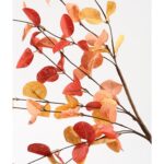 HNVNER Eucalipto artificiale, 5 mazzi da 60 cm ciascuno
