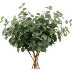 HNVNER Eucalipto artificiale, 5 mazzi da 60 cm ciascuno