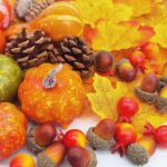 ROLLWAY Fall Decor Set with Pumpkins and Maple Leaves