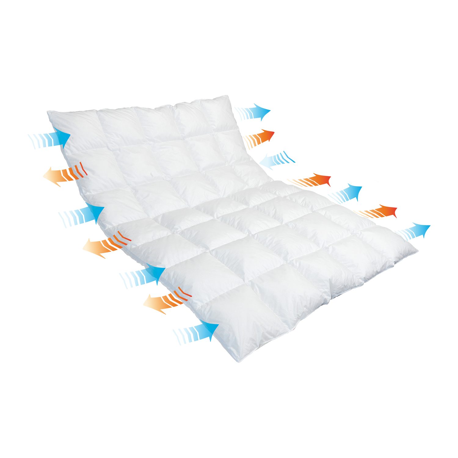 Traumina Breeze Daune – Daune, 4 Wärmeklassen, 6 Grössen