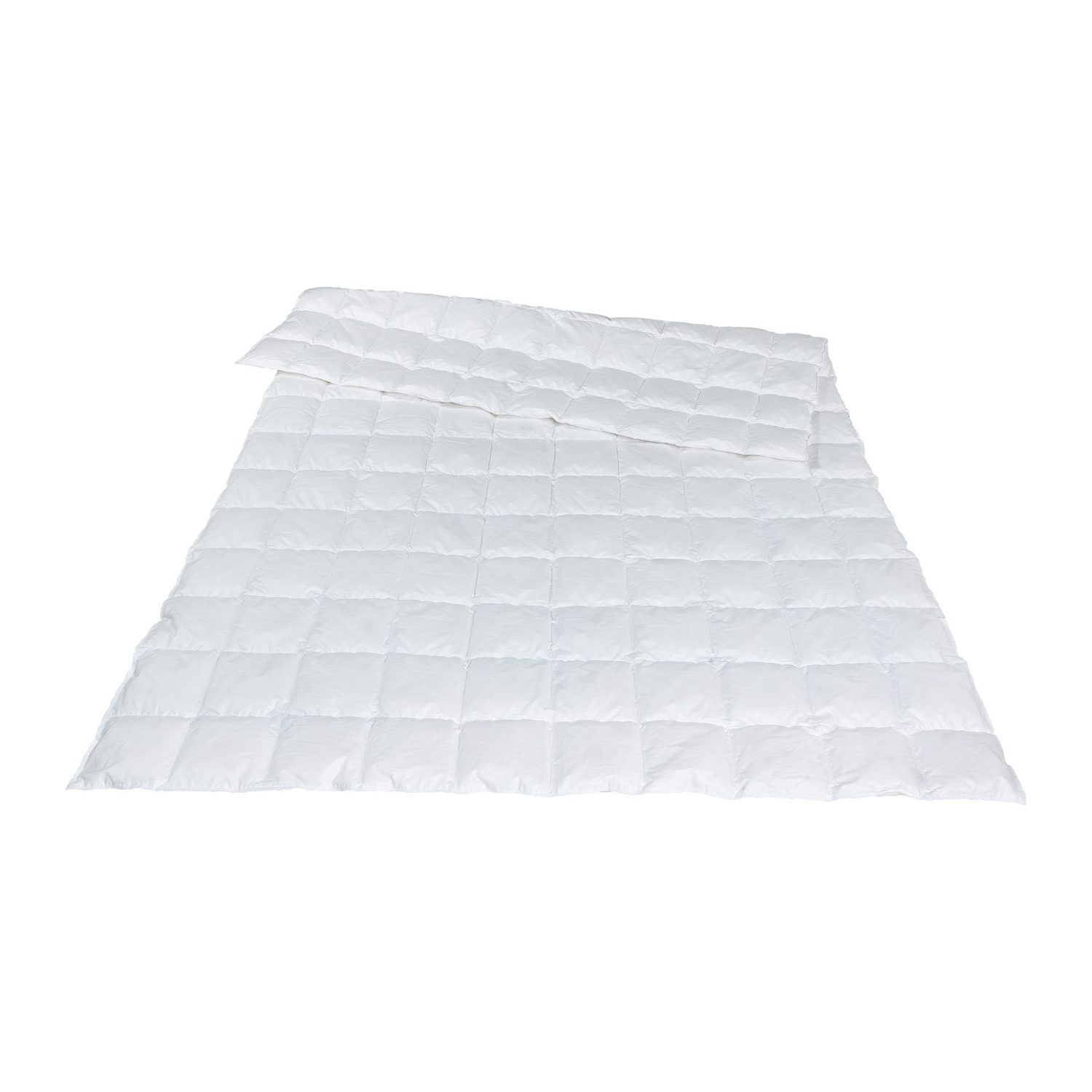 Traumina Plume Bio Daune – Daune, 4 Wärmeklassen, 6 Grössen