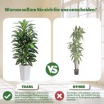 TXABL : Drago artificiel avec pot