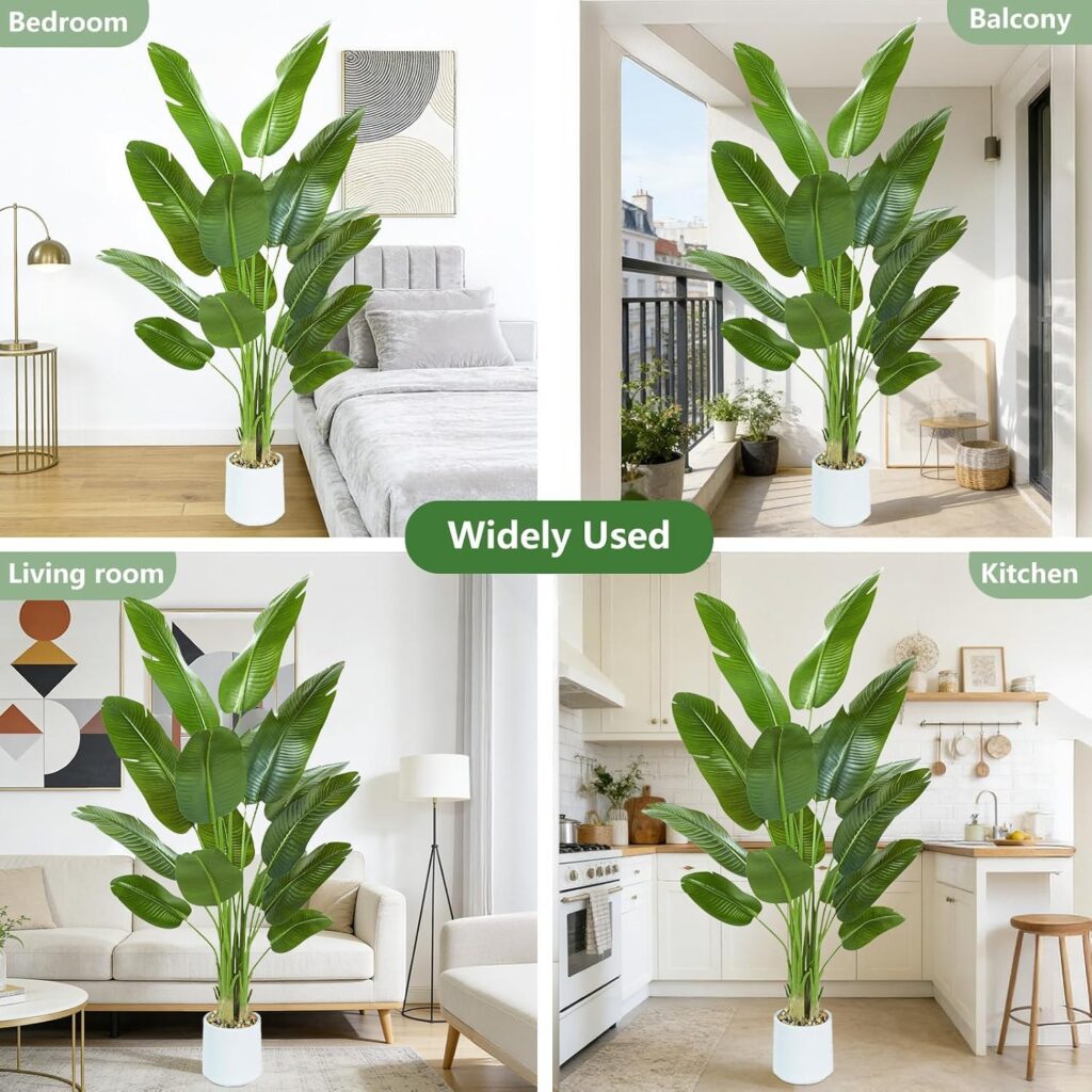 Matratzen kaufen Schweiz, Bettdecken kaufen Schweiz, Kopfkissen kaufen Schweiz La fleur de l'oiseau de paradis dans la chambre et au bureau